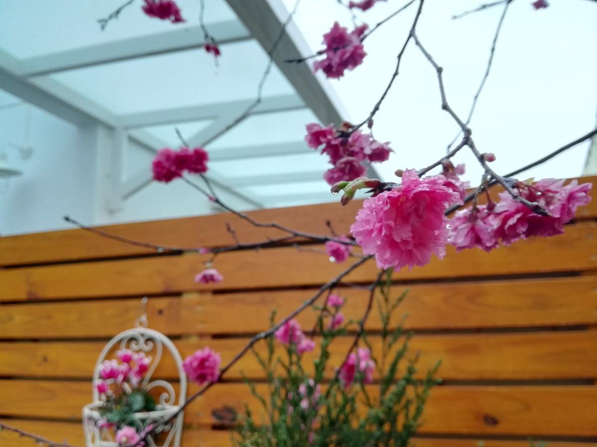Cloud & Green Private Guest House Puli Luaran gambar